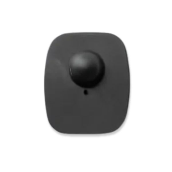 Untitled design - 2025-08-11T170527