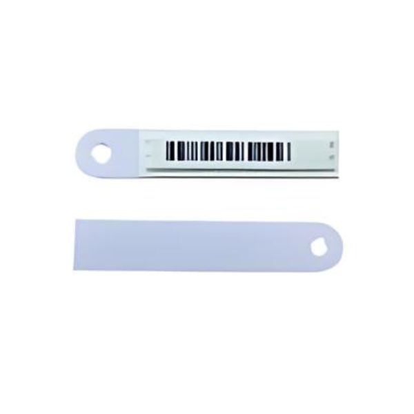 Untitled design - 2025-08-11T173536